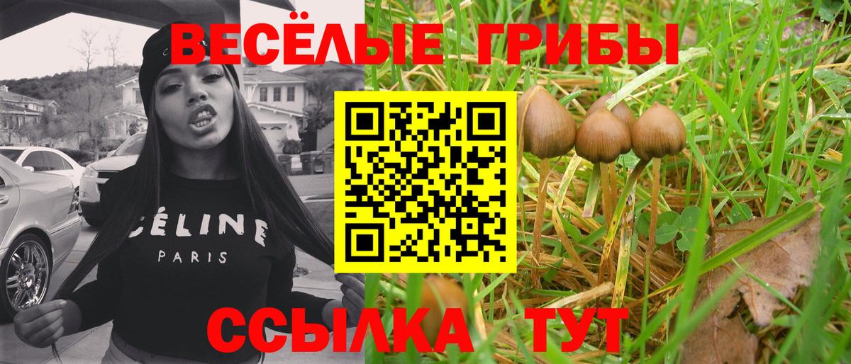 Боровичи  Галлюциногенные грибы Magic Shrooms  Псилоцибиновые грибы Psilocybine cubensis  Вход с VPN 